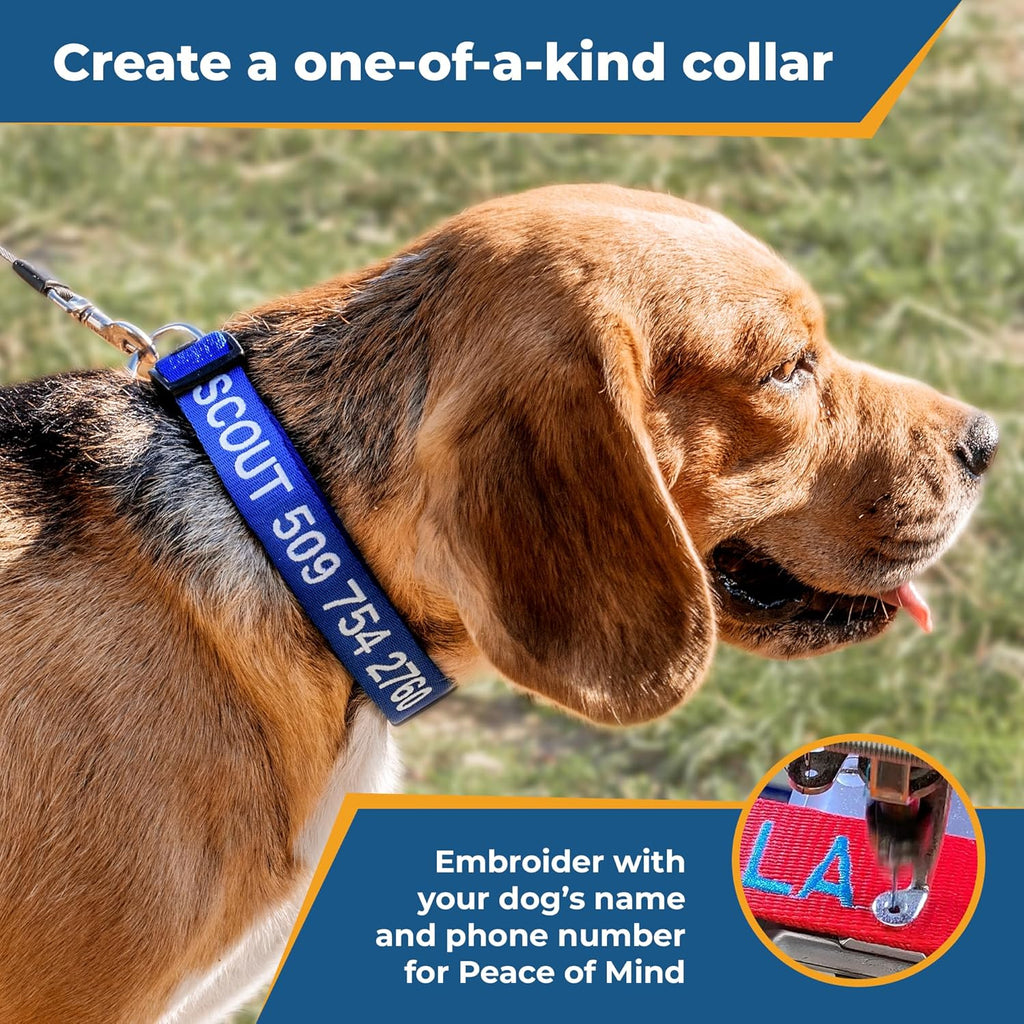 Collar color options