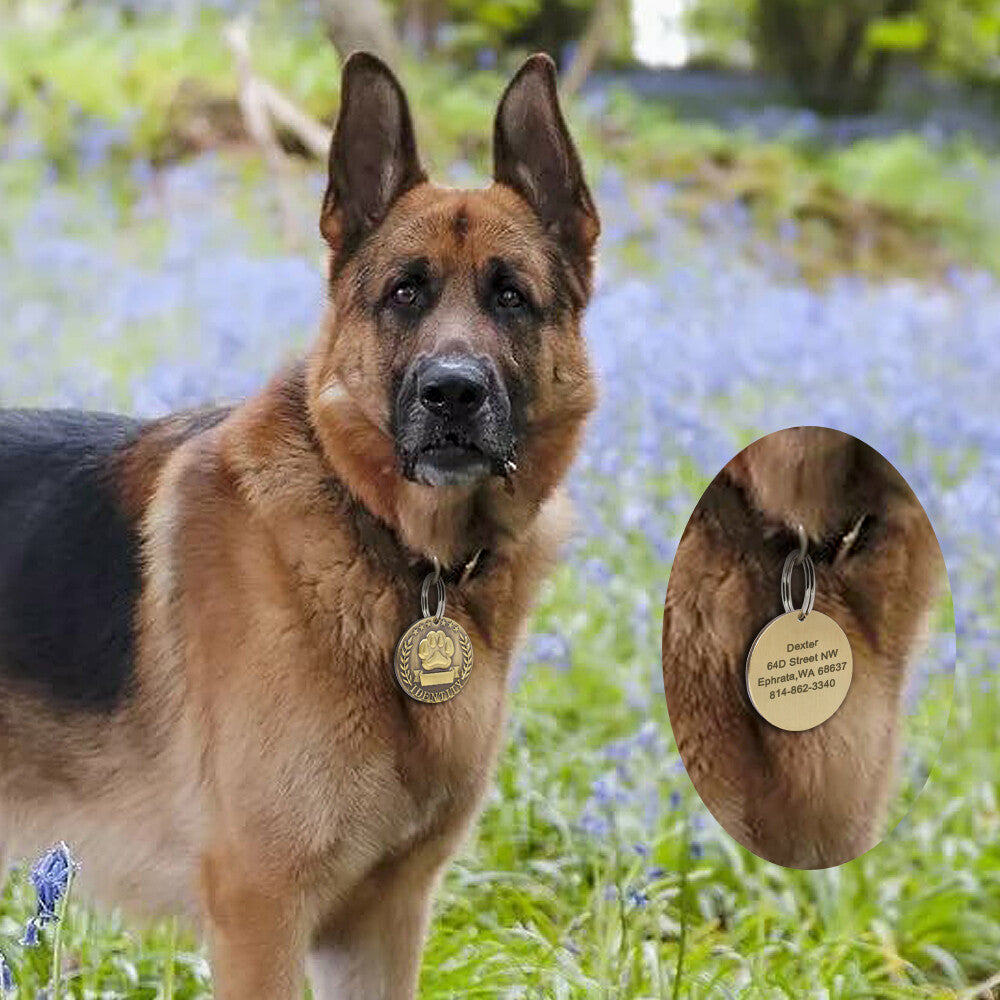 Brass dog tag round