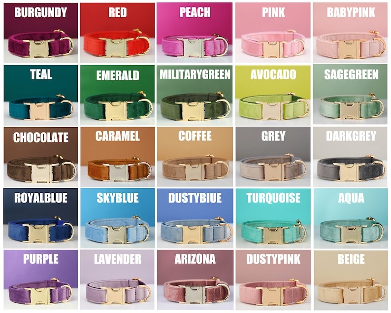 Velvet collar on dog