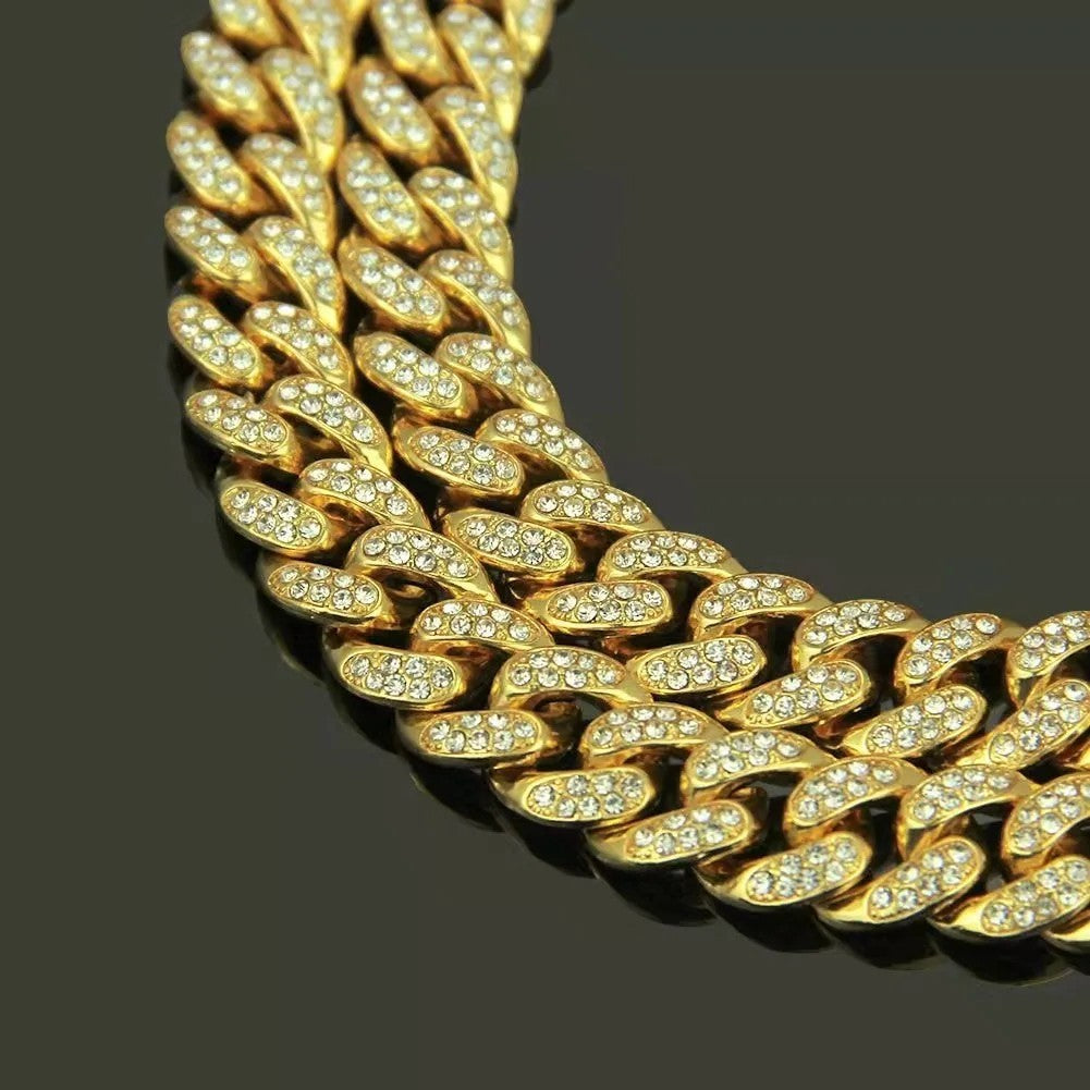 Pet chain collar on pet