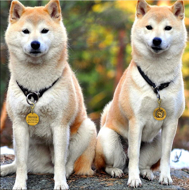 Breed ID tag detail