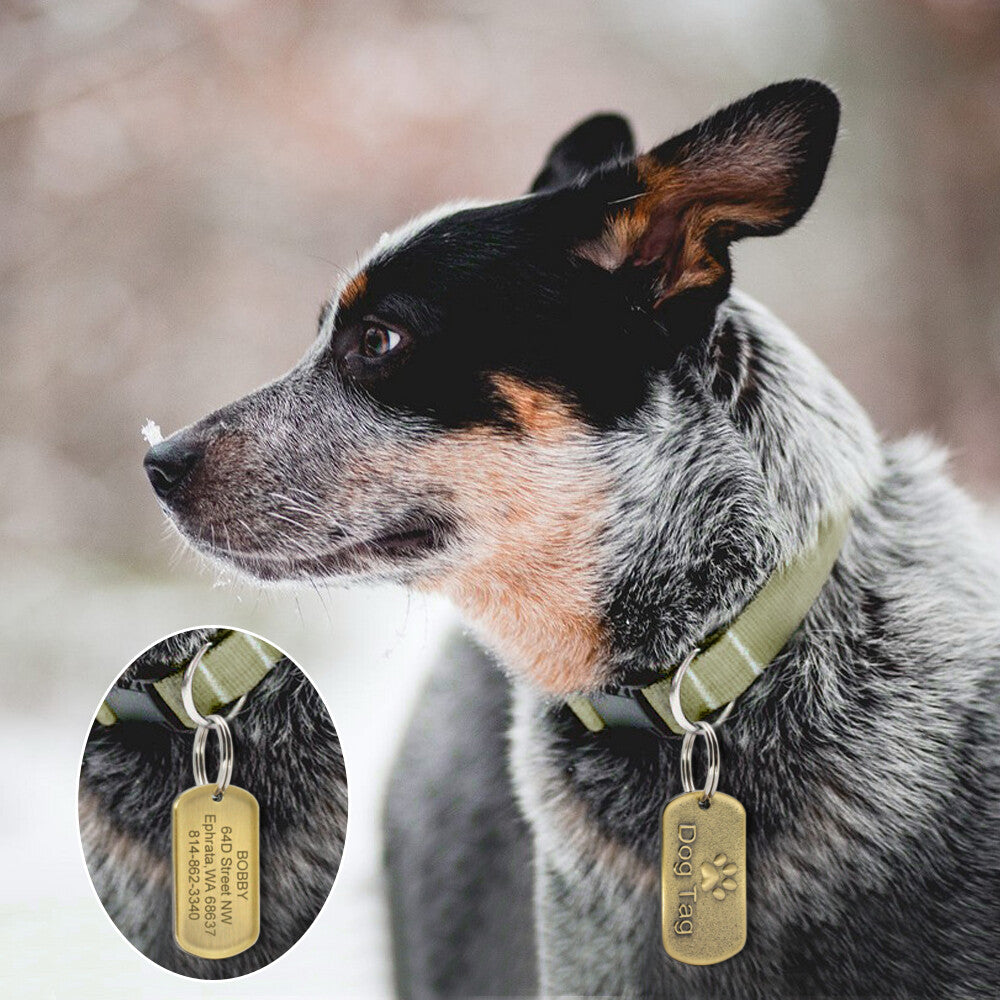 Brass dog tag shapes