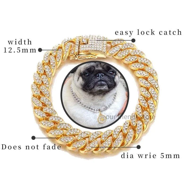 Pet chain collar detail