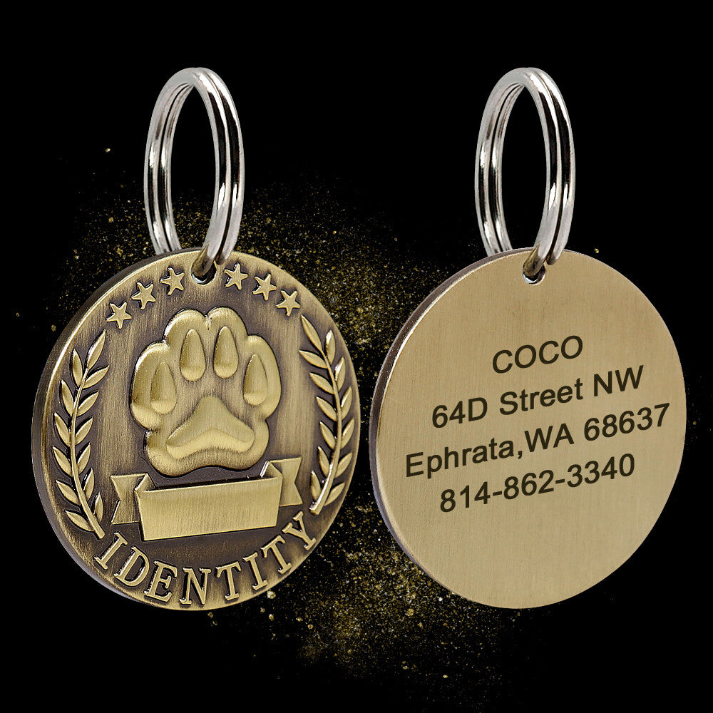 Brass dog tag on collar